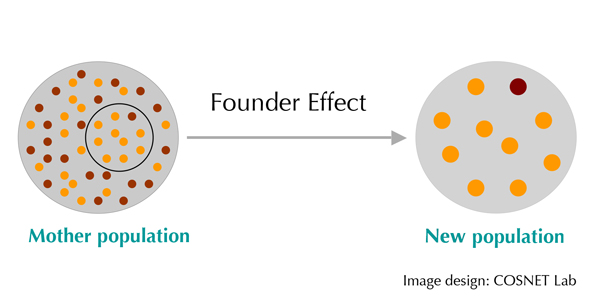 Founder effect