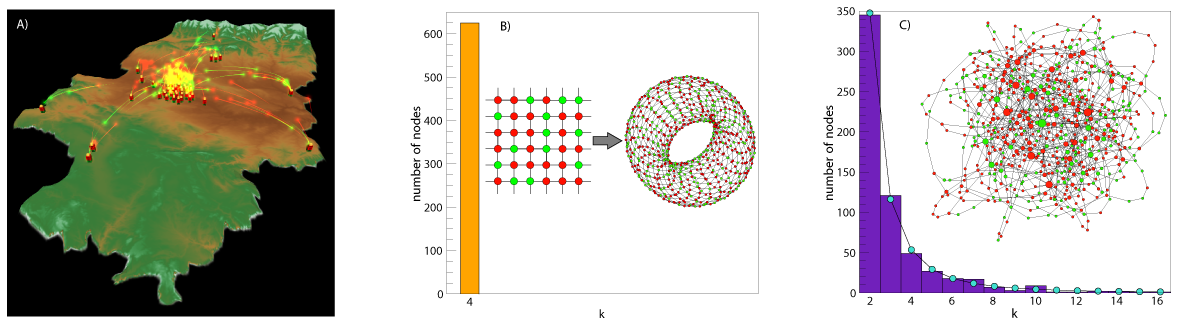 Population Structure