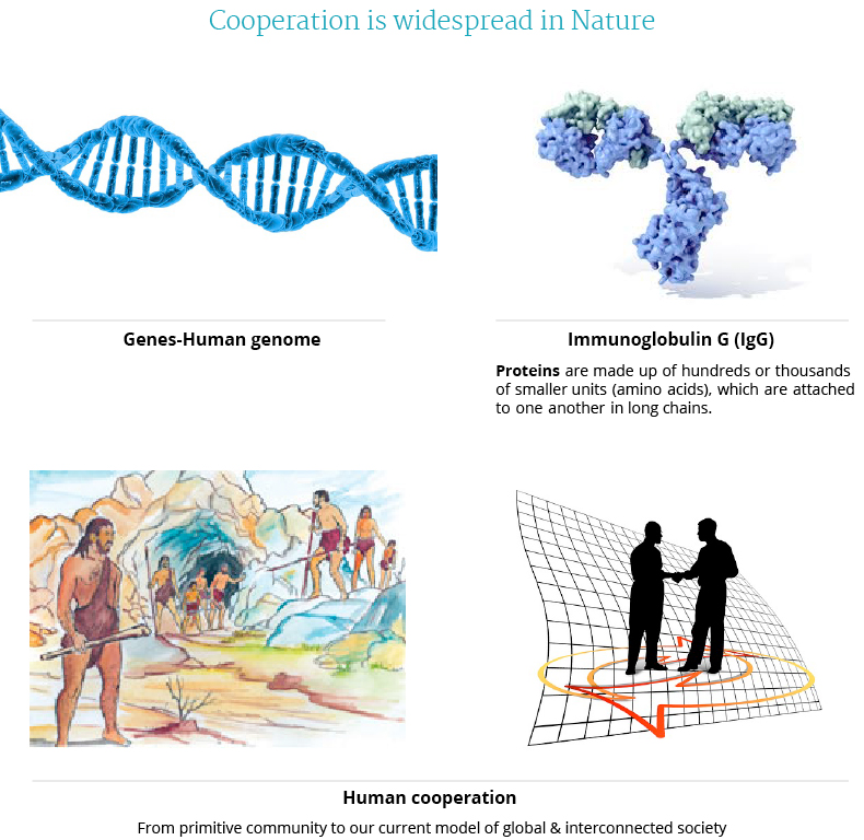 Cooperation at all levels of biological organization