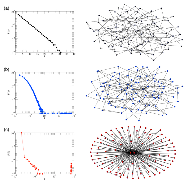 Structure of a population