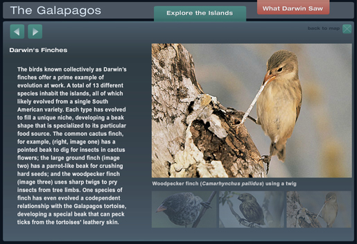 The Galapagos