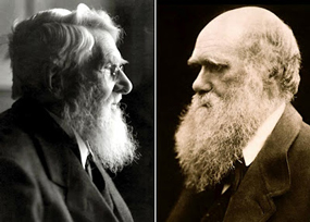 Wallace and Darwin